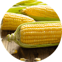 Kukuřičná vláknina